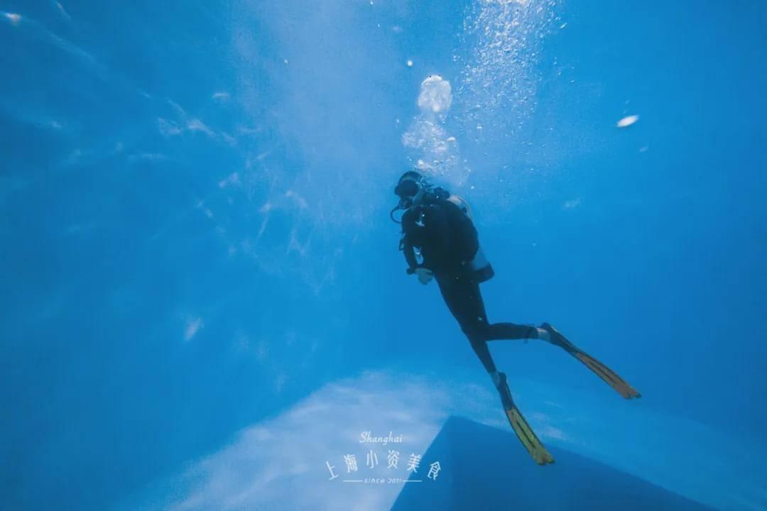 道教有哪些学院?- 颠覆认知的冷知识分享平台